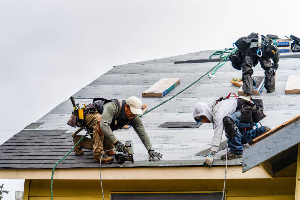 Professional Gutter Installation technician working in Calamus, IA
